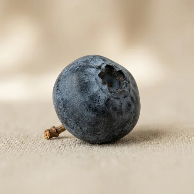 blueberry (블루베리)