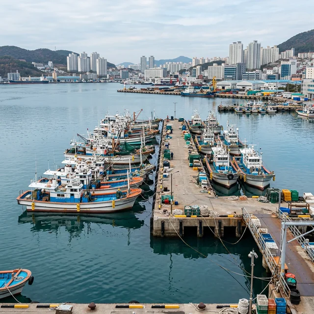 harbor (항구)
