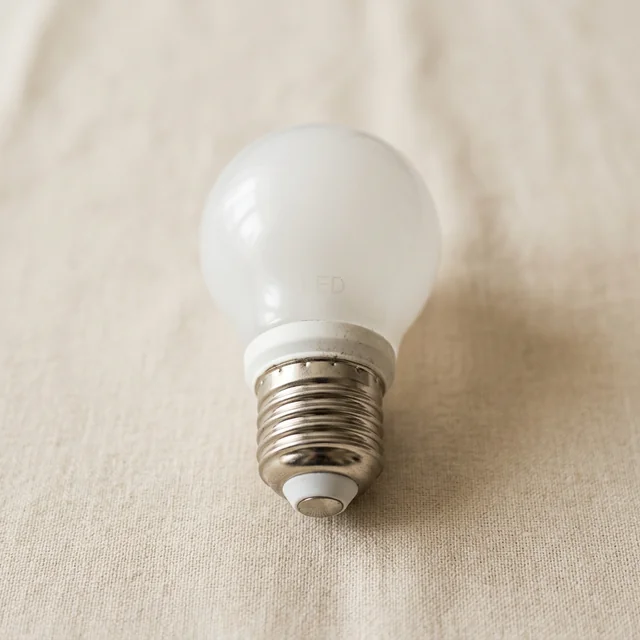 light bulb (전구)