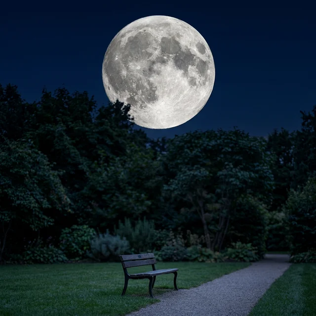 moon (달)