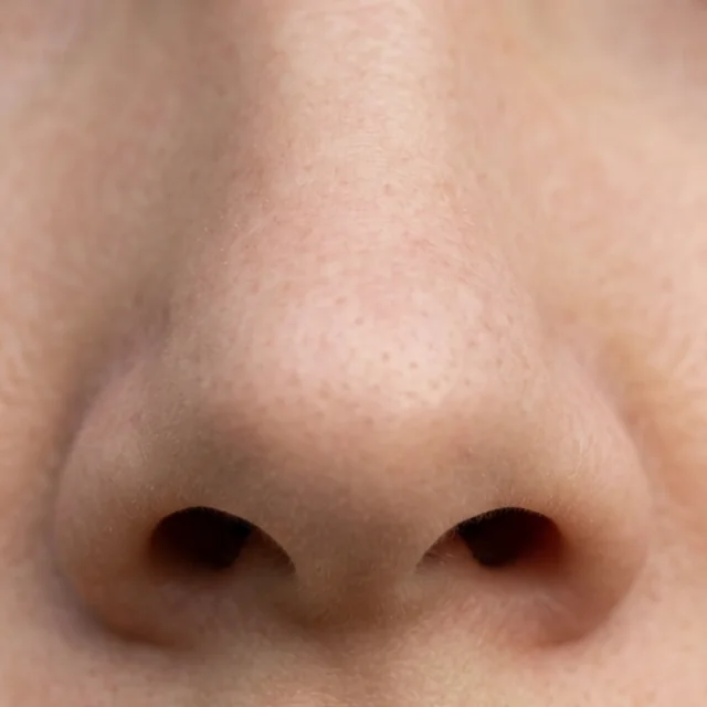 nose (코)