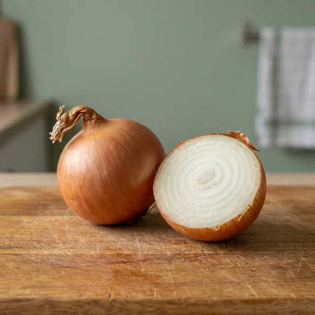 onion (양파)