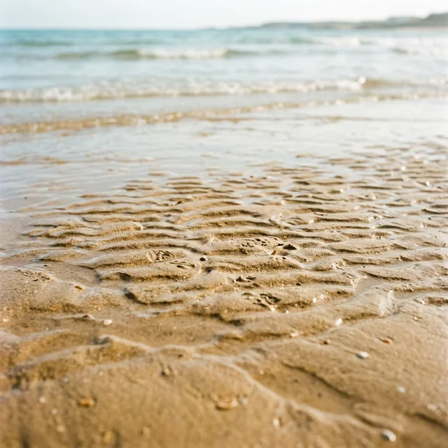 sand (모래)