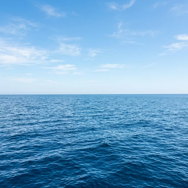 sea (바다)