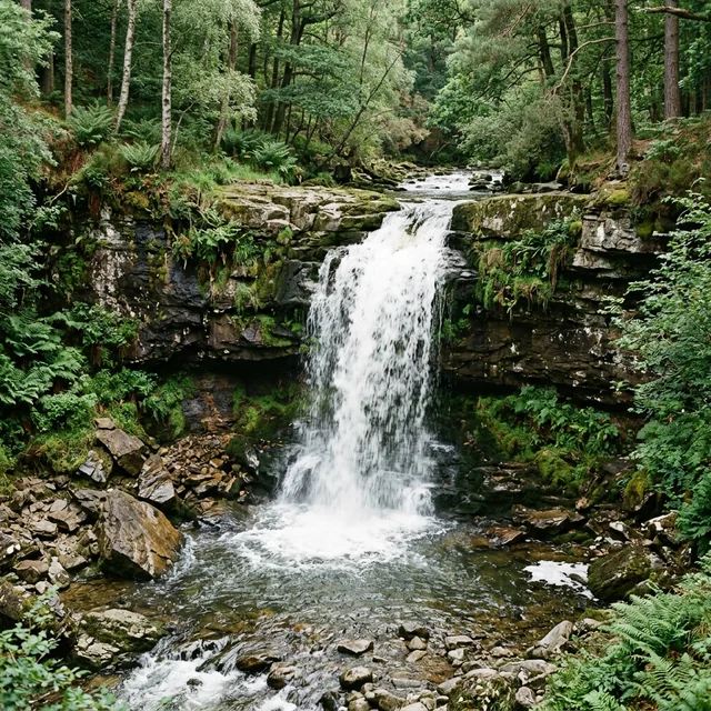 waterfall (폭포)