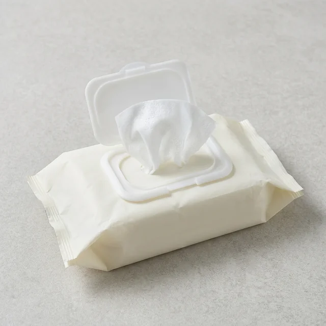 wet wipes (물티슈)